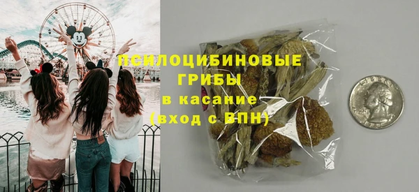 стаф Верхний Тагил