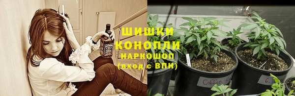 стаф Верхний Тагил