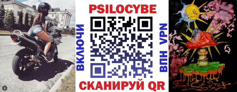 Псилоцибиновые грибы Psilocybine cubensis Омск